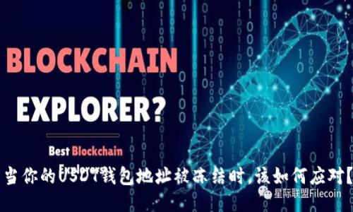 当你的USDT钱包地址被冻结时，该如何应对？