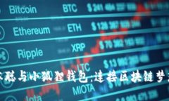 探寻神秘的中本聪与小狐