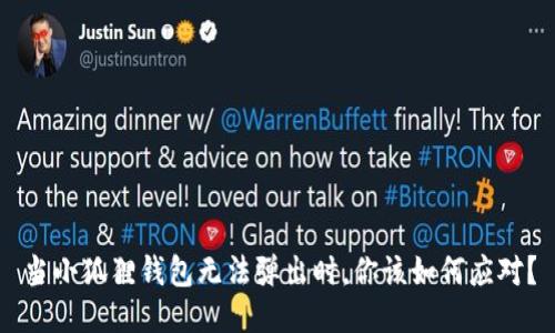 当小狐狸钱包无法弹出时，你该如何应对？