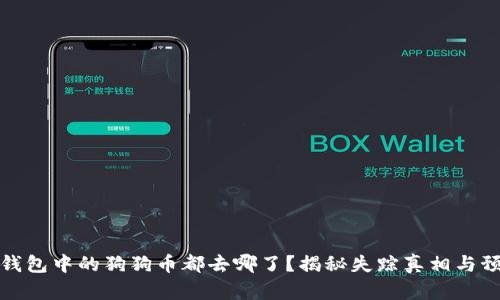 狗狗币钱包中的狗狗币都去哪了？揭秘失踪真相与预防措施