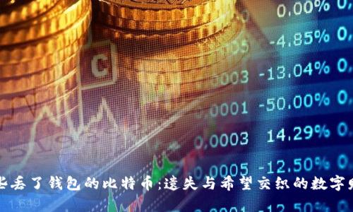 那些丢了钱包的比特币：遗失与希望交织的数字财富