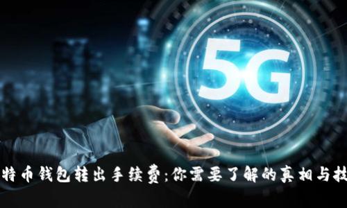 比特币钱包转出手续费：你需要了解的真相与技巧