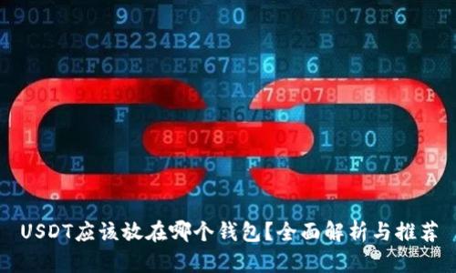 USDT应该放在哪个钱包？全面解析与推荐