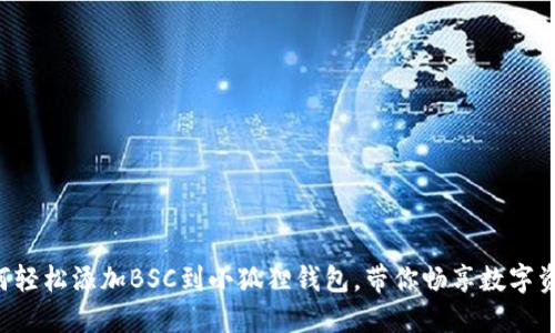 “苹果手机如何轻松添加BSC到小狐狸钱包，带你畅享数字资产管理之旅！”