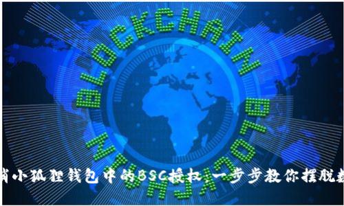 如何轻松取消小狐狸钱包中的BSC授权：一步步教你摆脱数字资产隐患