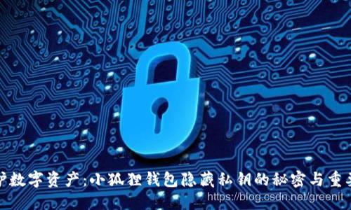 保护数字资产：小狐狸钱包隐藏私钥的秘密与重要性
