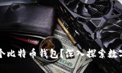 一个人可以拥有多少个比特币钱包？深入探索数字资产管理的无限可能