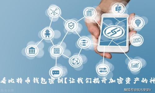 如何查看比特币钱包密钥？让我们揭开加密资产的神秘面纱