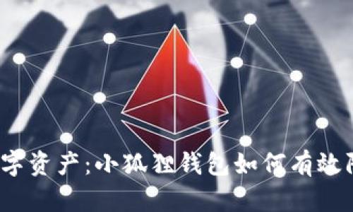 保护你的数字资产：小狐狸钱包如何有效防止被盗号？
