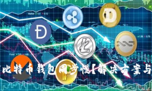 为何比特币钱包同步慢？解决方案与建议