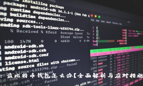 : 盗比特币钱包怎么办？全面解析与应对措施