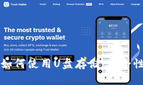 狗狗币钱包如何使用U盘存储：安全性与操作指南