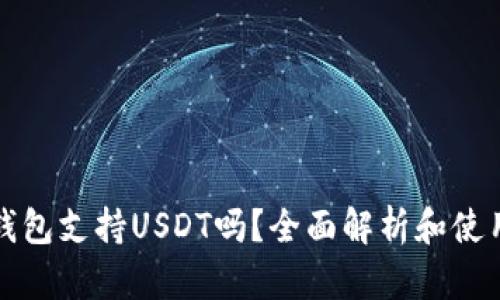 极客钱包支持USDT吗？全面解析和使用指南