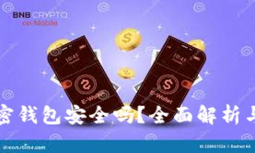 小狐狸加密钱包安全吗？全面解析与用户指南