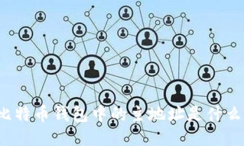 比特币钱包中的主地址是什么？