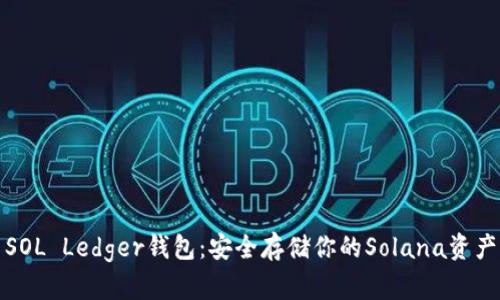 SOL Ledger钱包：安全存储你的Solana资产
