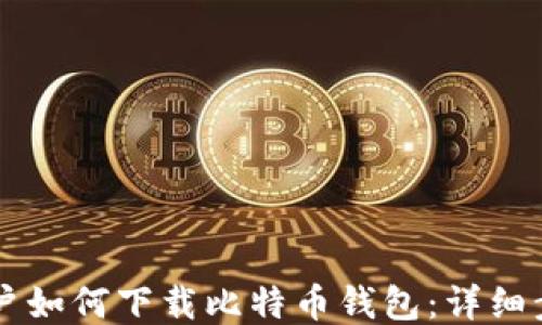 
iPhone用户如何下载比特币钱包：详细步骤与推荐