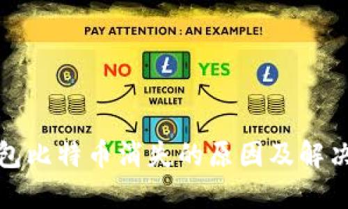 TP钱包比特币消失的原因及解决方案