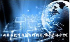 比特币数字钱包选择指南