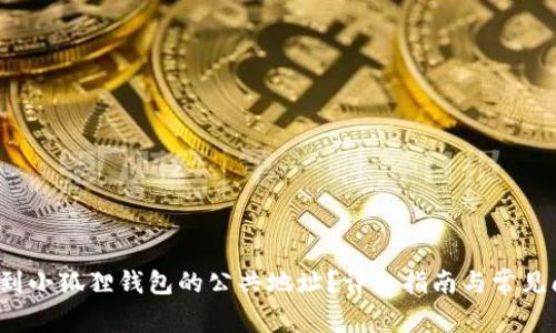  如何找到小狐狸钱包的公共地址？详细指南与常见问题解析
