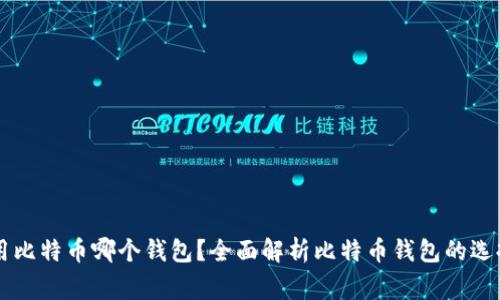 大家都用比特币哪个钱包？全面解析比特币钱包的选择与使用
