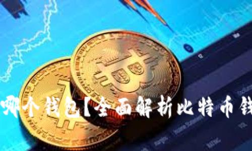 大家都用比特币哪个钱包？全面解析比特币钱包的选择与使用