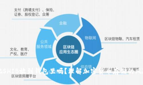 有必要把SHIB放到钱包里吗？理解加密货币存储的风险与收益