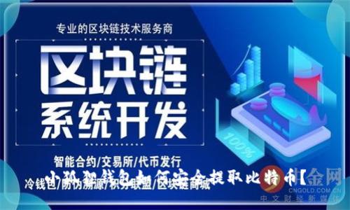 小狐狸钱包如何安全提取比特币？