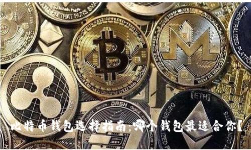 比特币钱包选择指南：哪个钱包最适合你？
