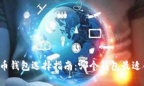 比特币钱包选择指南：哪个钱包最适合你？