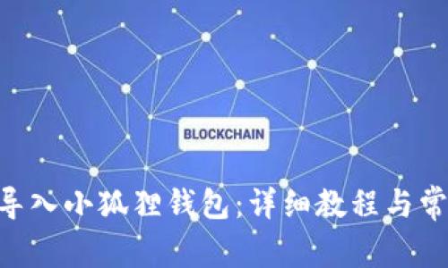 BSC链如何导入小狐狸钱包：详细教程与常见问题解答