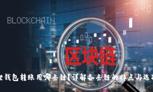小狐狸钱包转账用哪条链？详解各条链的特点与选择指南