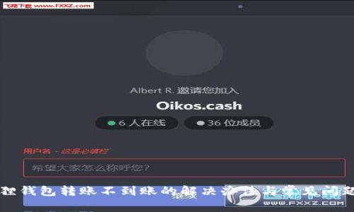 小狐狸钱包转账不到账的解决办法与常见问题分析