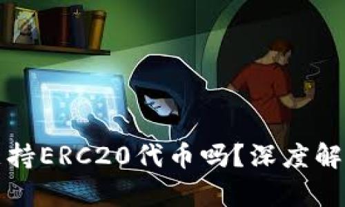 小狐狸钱包支持ERC20代币吗？深度解析与使用指南