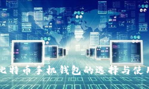 中文比特币手机钱包的选择与使用指南