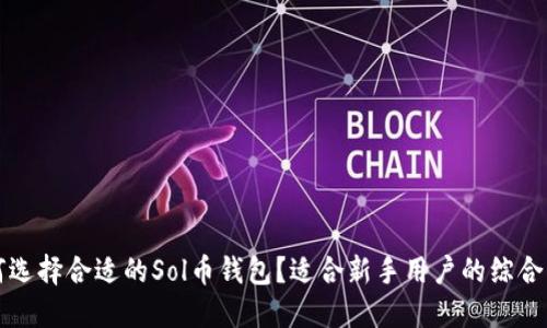 如何选择合适的Sol币钱包？适合新手用户的综合指南