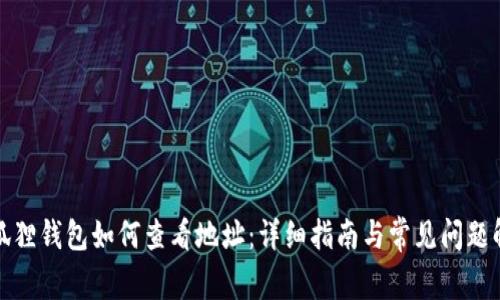小狐狸钱包如何查看地址：详细指南与常见问题解答
