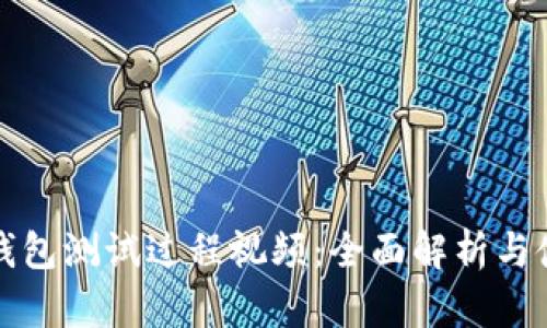 小狐狸钱包测试过程视频：全面解析与使用指南
