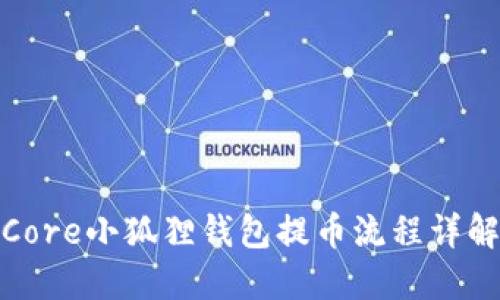 Core小狐狸钱包提币流程详解