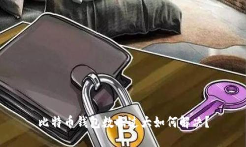 比特币钱包数据过大如何解决？