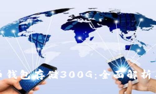 比特币钱包存储300G：全面解析与策略
