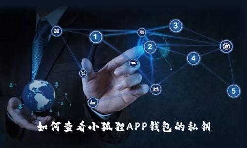 如何查看小狐狸APP钱包的私钥