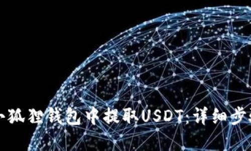 如何在小狐狸钱包中提取USDT：详细步骤与指南