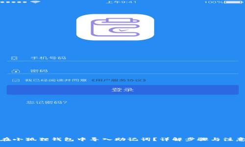 如何在小狐狸钱包中导入助记词？详解步骤与注意事项
