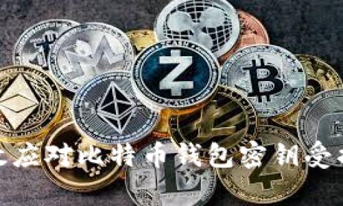 如何有效应对比特币钱包密钥受损的风险