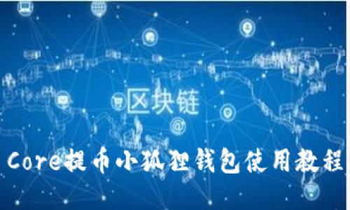 Core提币小狐狸钱包使用教程