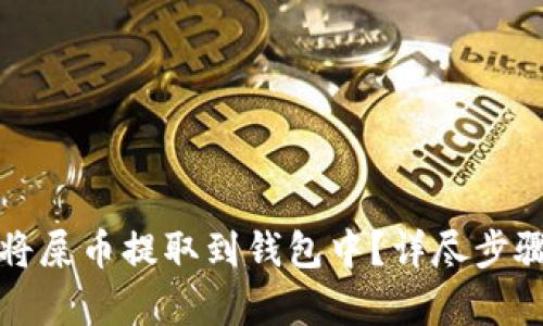 如何将屎币提取到钱包中？详尽步骤解析