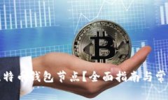 如何查看比特币钱包节点