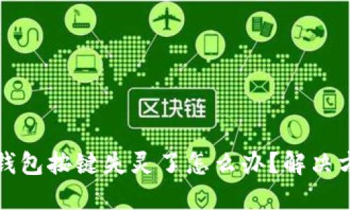 小狐狸钱包按键失灵了怎么办？解决方案详解