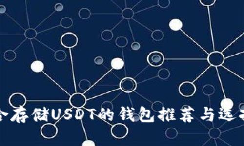 最适合存储USDT的钱包推荐与选择指南